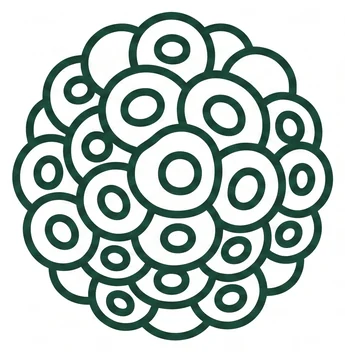 Spheroid application icon