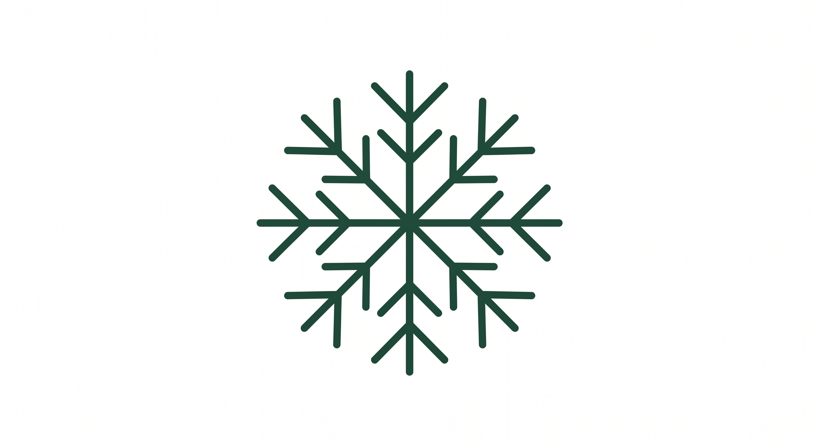 Snowflake icon