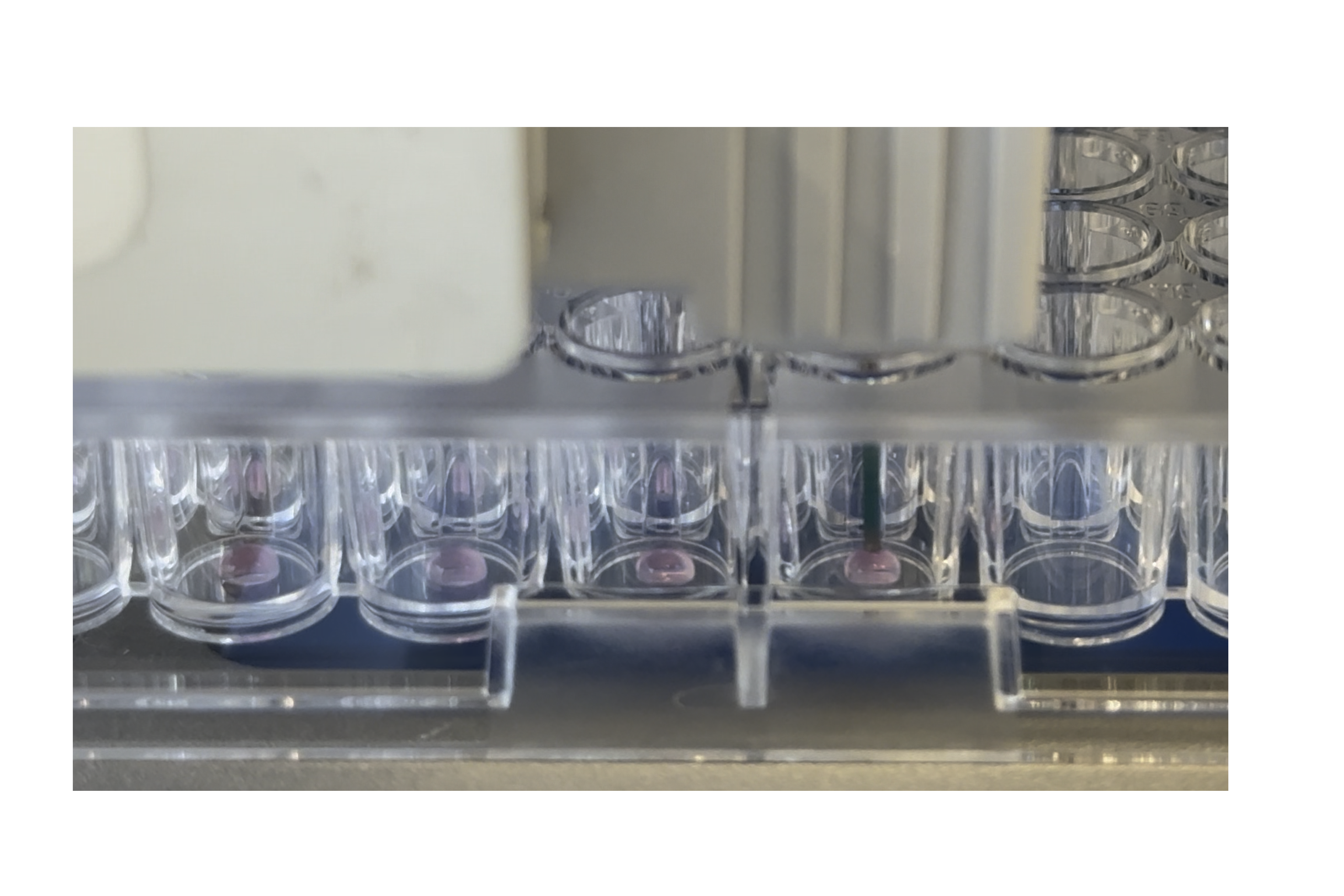 Elongated dispensing nozzles for accurate dome placement
