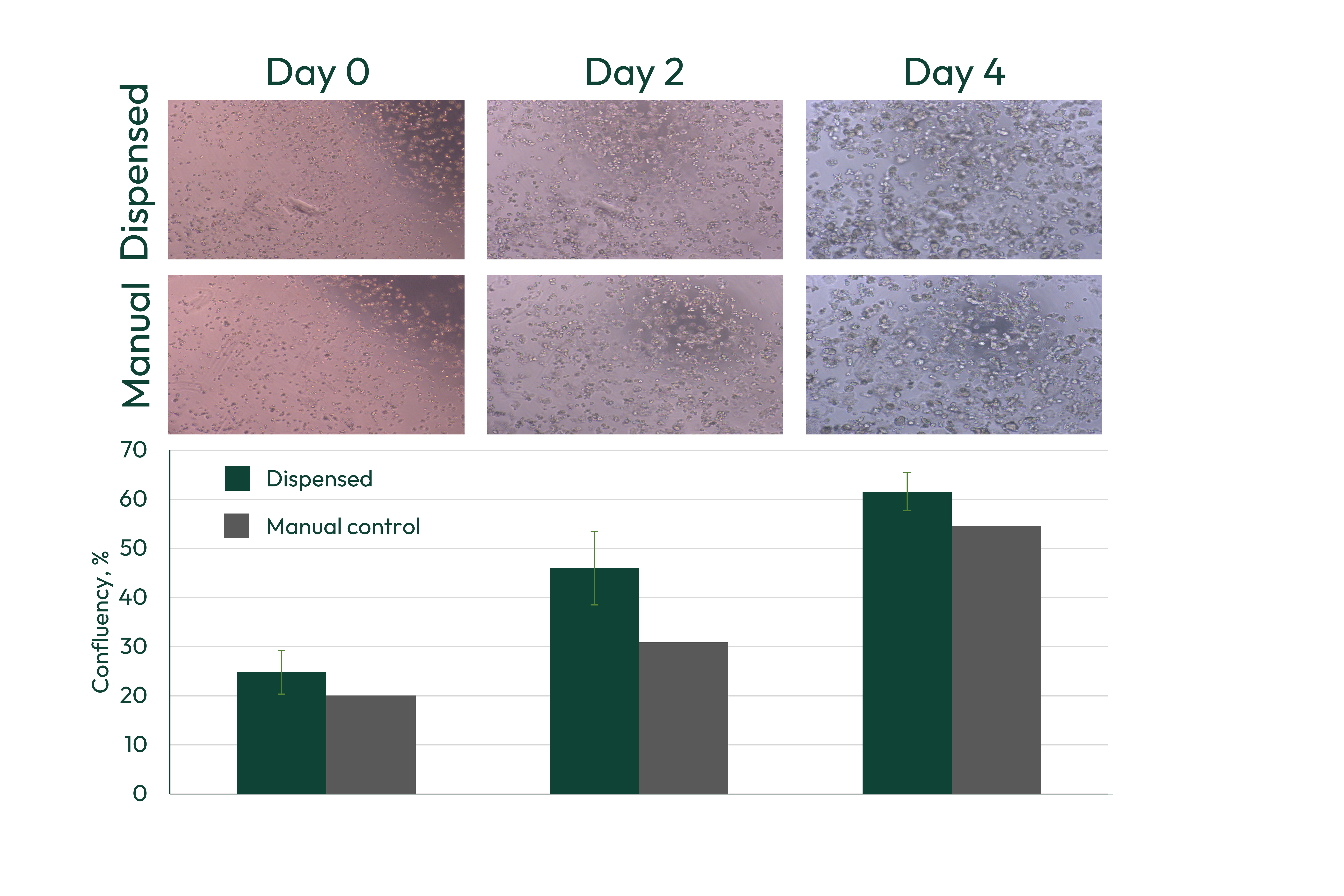 Cell culture images and confluency chart