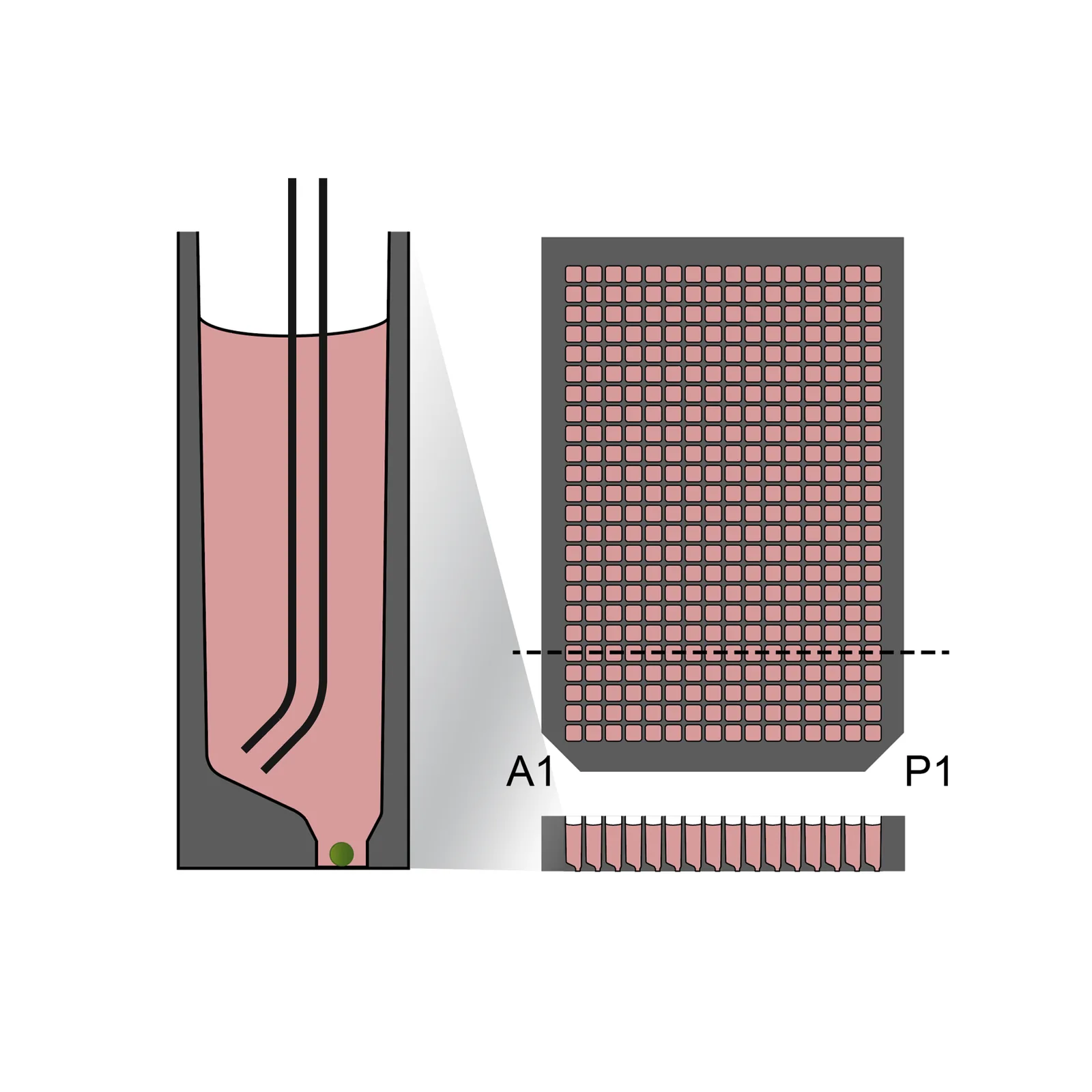 InSphero Akura™ plate with cassette nozzle