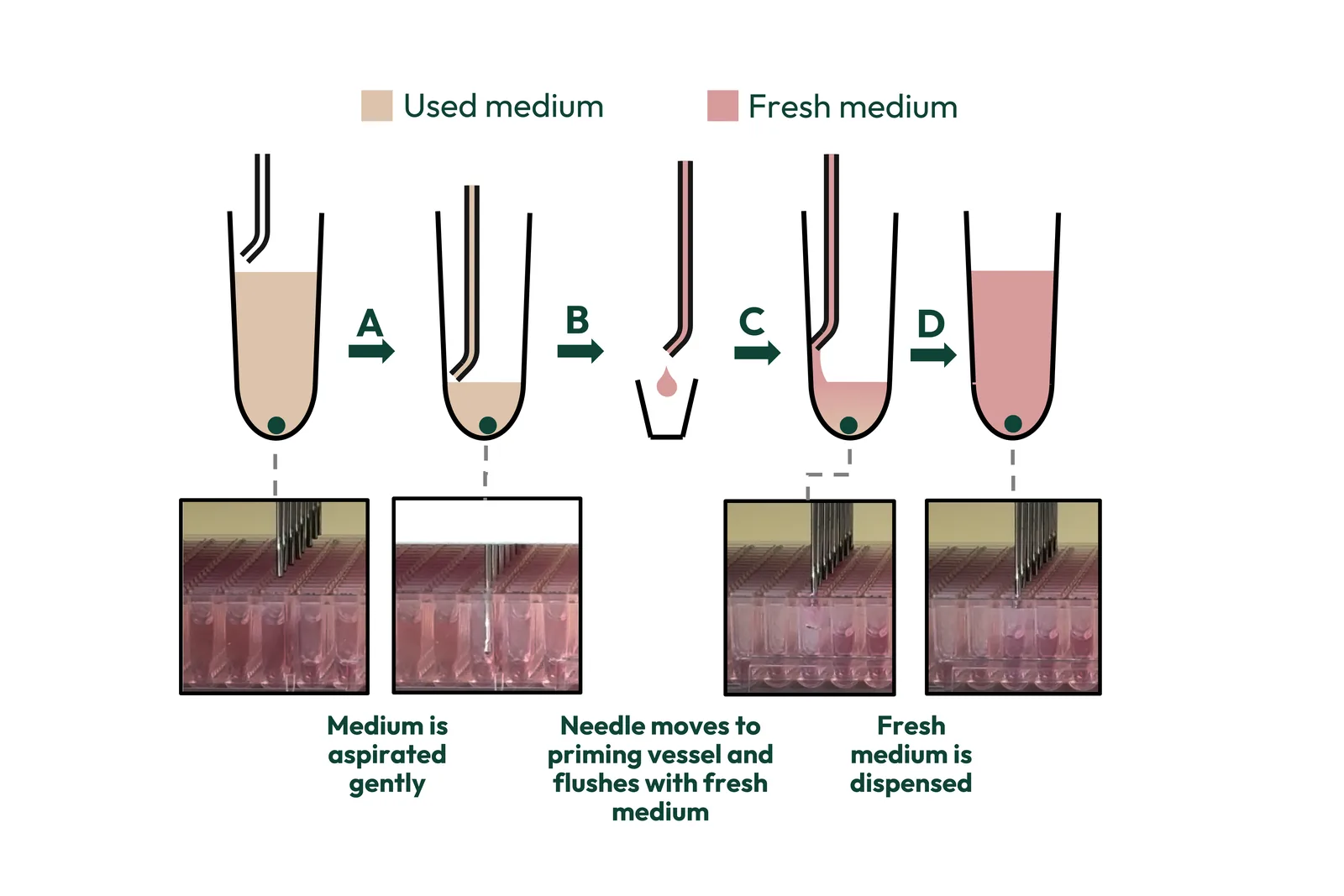 Schematic of washing